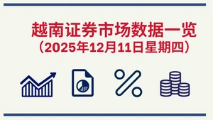 12月11日越南证券市场数据一览 【图表新闻】