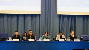 越南常驻联合国和其他国际组织代表团团长武黎泰黄大使发表讲话。（图片来源：越通社）