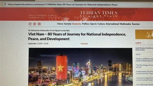 《德黑兰时报》网站屏幕截图。