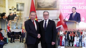 推动越英关系提质升级 制定长期合作战略