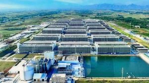 越南农业与环境部建议开展多层楼房养猪模式。