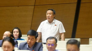 广治省国会代表何士同发表讲话。（图片来源：越通社）