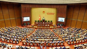 越南第十五届国会第十次会议议现场。