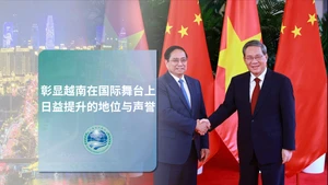 彰显越南在国际舞台上日益提升的地位与声誉