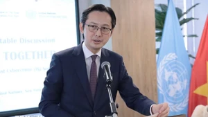 越南常驻联合国代表团团长杜雄越大使。