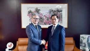 越南政府副总理兼外交部长裴青山会见老挝外交部长通沙万。