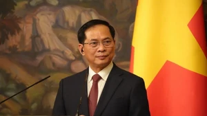 越南政府副总理裴青山发言。(图片来源:越通社)