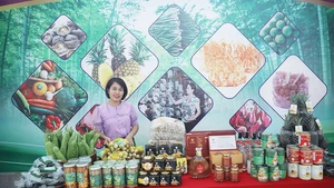 北宁省“一乡一品”产品。