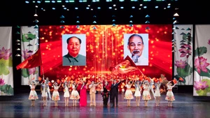 越南文化日的文艺演出。