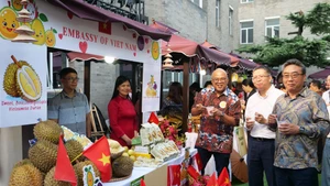 范清平大使和中国-东盟中心秘书长史忠俊参观越南展位。