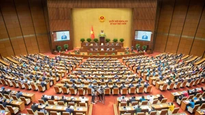 第十五届国会第十次会议全体会议场景。(维灵 摄)
