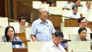太平省代表阮文伸发表讲话。（图片来源：越通社）