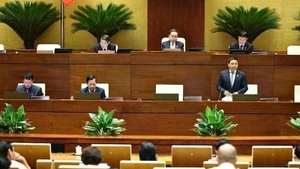 会议场景。（图片来源：越通社）