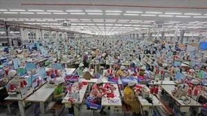2024年越法双边贸易额超54亿美元，同比增长12.9%。（图片来源：越通社）