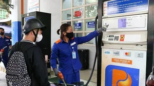 附图。（图片来源：越通社）