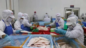 2025年前5个月，来自进出口活动的国家预算收入达1825180亿越盾。（图片来源：越通社）