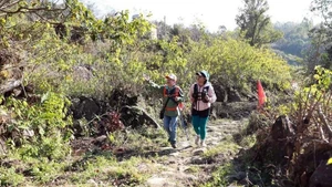 帕维古石径。（图片来源：越通社）