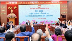 864人参选第十六届国会代表【图表新闻】