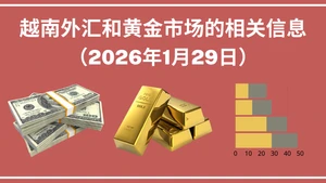 越南外汇和黄金市场的相关信息【图表新闻】