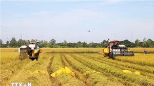 突破性的政策以及紧迫的实施节奏给民众带来了对新生活质量的诸多期望
