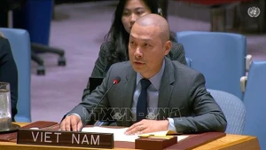 越南常驻联合国代表团临时代办阮黄原公使。（图片来源：越通社）