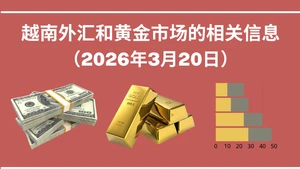 越南外汇和黄金市场的相关信息【图表新闻】