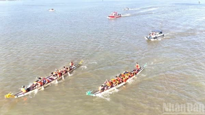 同奈河上精彩刺激的赛艇比赛【组图】