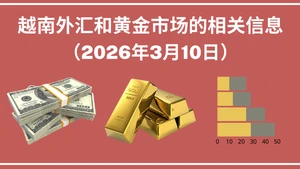 越南外汇和黄金市场的相关信息【图表新闻】