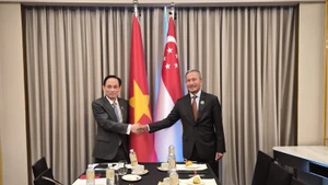 越共中央政治局委员、外交部长黎怀忠会见新加坡外交部长维文。