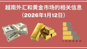 越南外汇和黄金市场的相关信息【图表新闻】
