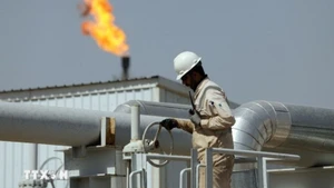 炼油厂的工人。（图片来源：THX/越通社）