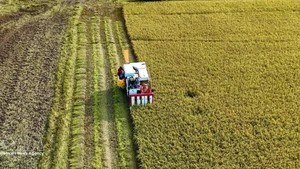 安江省进行出口模式转型。