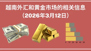 越南外汇和黄金市场的相关信息【图表新闻】