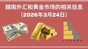 越南外汇和黄金市场的相关信息【图表新闻】