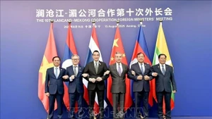 出席澜沧江—湄公河合作（MLC）第十次外长会的代表合影。（图片来源：越通社）