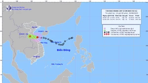 越南政府总理指示全力应对第6号台风。（图片来源：baochinhphu.vn）