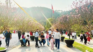 春节假期旅游客流的增长，为年初以来连续出现的积极信号再添动力。