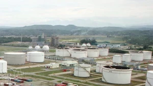 附图。（图片来源：越通社）