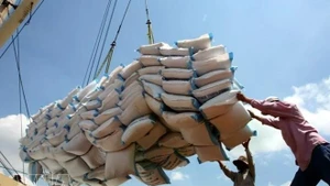 附图。（图片来源：越通社）