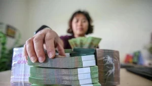 附图。（图片来源：越通社）