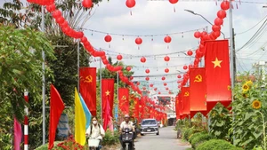 永隆省正按规定、按进度同步开展各项准备步骤。（图片来源：越通社）