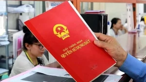 附图。（图片来源：越通社）