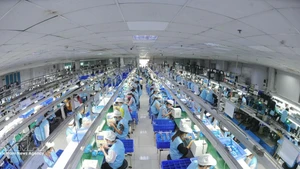 附图。（图片来源：越通社）