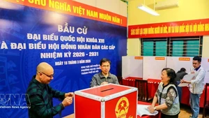 第十六届国会代表和2026-2031年任期各级人民议会代表选举的准备工作正在同步开展。（图片来源：越通社）