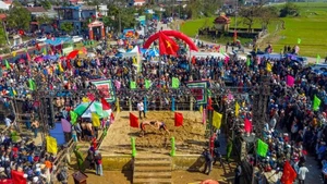 顺化市泞（Sình）村摔跤节于农历正月初十在阳努坊举行。（图片来源：政府门户网）