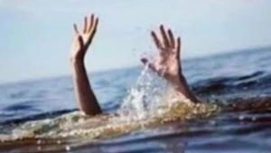 附图。（图片来源：越通社）