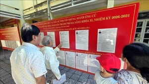 候选人名单和个人简介均公开展示。（图片来源：越通社）