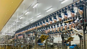 家禽肉类加工厂内部生产线。（图片来源：越通社）