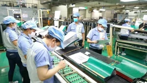 附图。（图片来源：越通社）