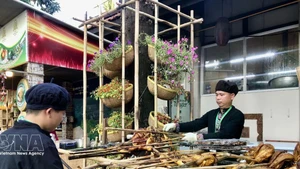 附图。（图片来源：越通社）